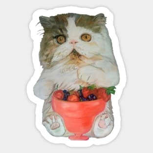 Kitten with Fruit Smoothie Sticker